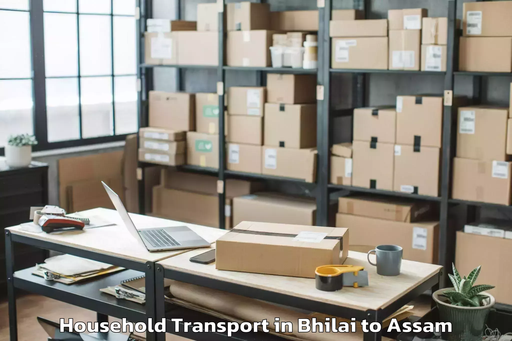 Bhilai to Guwahati Household Transport